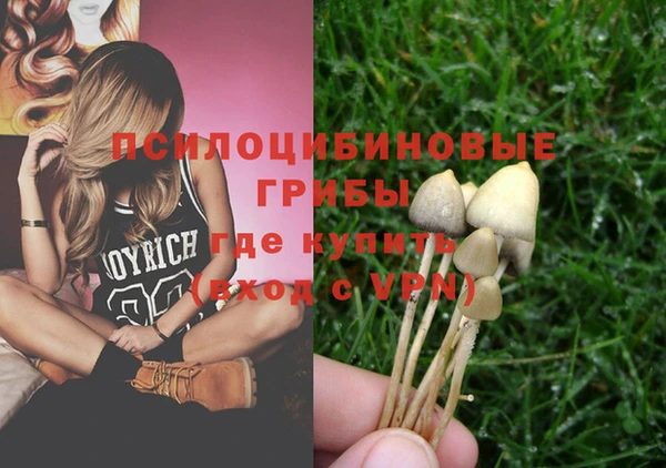 спиды Бугульма